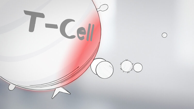 Wella Koleston Perfect T-Cell 3D Rendering